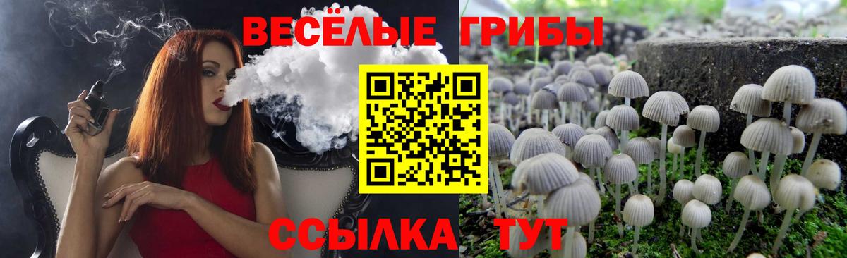 Псилоцибиновые грибы GOLDEN TEACHER  Вход с VPN  где купить наркоту  Коломна 